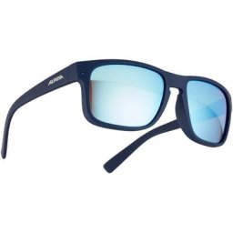 Alpina Kosmic Brille blau 2023 Accessoires