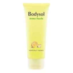 Omega Pharma BODYSOL Aroma Duschgel Grapefruit Ingwer 0.25 l