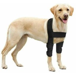 Atmungsaktive Ellbogenbandage geeignet für Hunde, Ellbogen- und Schulterunterstützung,