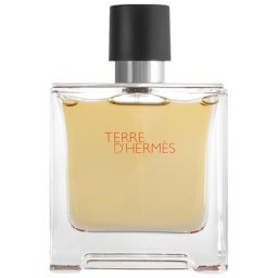 Hermès Terre d`Hermès Eau de Parfum 75 ml