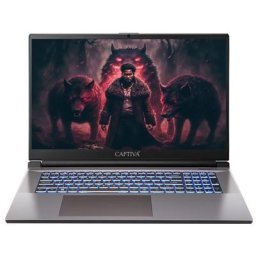 CAPTIVA Highend Gaming I74-082CH Gaming-Notebook (43,9 cm/17,3 Zoll, Intel Core i5 13500H, 1000 GB SSD)