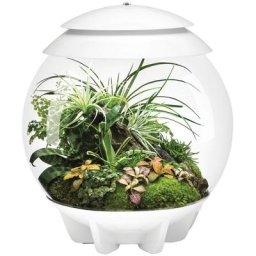 biOrb by OASE Terrarium AIR 30, 71748/49/58, 30 Liter, ØxH: 40x46 cm, verschiedene Farben