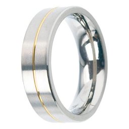 Herren Ring ""0101-2160"", Titan