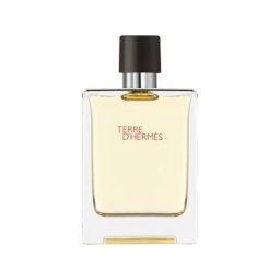 Hermès Herrendüfte Terre d'Hermès Eau de Toilette Spray Refill 125 ml