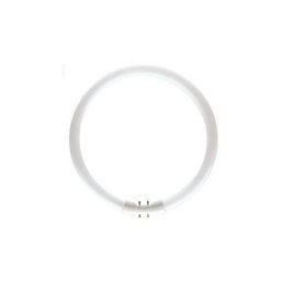 Philips - Kreisförmige Leuchtstoffröhre T5 22W 840 64251625