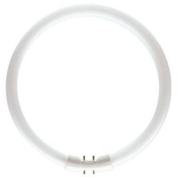 Philips - Leuchtstofflampe Ringform 55W/830, 2GX13, ø 305 mm