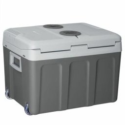 Elektrische Kühlbox 40 Liter 12 v / 230 v für Auto, Lkw, Reisemobil, Camping - Mini Kühlschrank