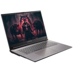 CAPTIVA Advanced Gaming I74-284CH Gaming-Notebook (43,9 cm/17,3 Zoll, Intel Core i5 13500H, 1000 GB SSD)