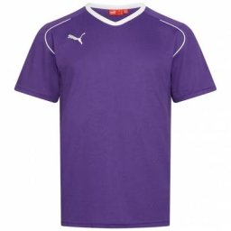 PUMA V5.08 Herren Trainings Trikot 700471-10