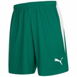 PUMA V-Kat Herren Shorts 700388-04