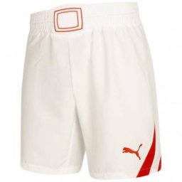 PUMA PowerCat 1.10 Herren Trainings Shorts 700758-12