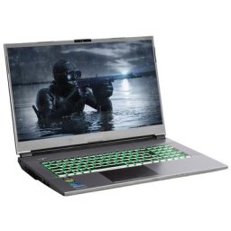CAPTIVA Advanced Gaming I65-635 Gaming-Notebook (43,9 cm/17,3 Zoll, Intel Core i7 11800H, GeForce RTX 3060, 500 GB SSD)