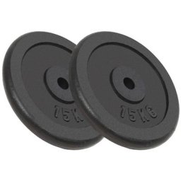 Vidaxl - Hantelscheiben 2 Stk. 2x15 kg Gusseisen n/a