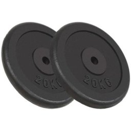 Vidaxl - Hantelscheiben 2 Stk. 2x20 kg Gusseisen n/a
