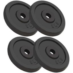Vidaxl - Hantelscheiben 4 Stk. 4x5 kg Gusseisen n/a
