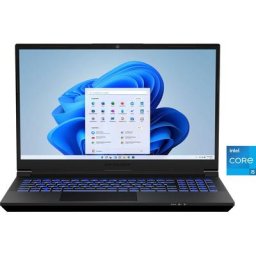 Medion® Crawler E40 Gaming-Notebook (39,6 cm/15,6 Zoll, Intel Core i5 13500H, GeForce RTX 4050, 512 GB SSD)