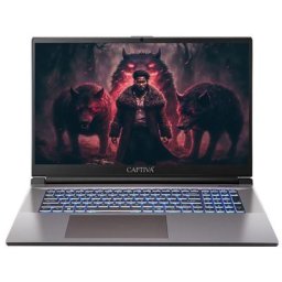 CAPTIVA Advanced Gaming I74-294CH Gaming-Notebook (43,9 cm/17,3 Zoll, Intel Core i5 13500H, 2000 GB SSD)