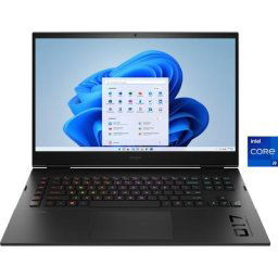 HP HP Omen 17-ck2097ng Shadow Black (P) Gaming-Notebook (43,9 cm/17,3 Zoll, Intel Core i9 13900HX, GeForce RTX 4080, 1000 GB SSD)