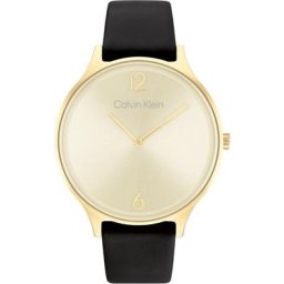 Calvin Klein Quarzuhr Timeless 2H, 25200008