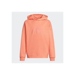 adidas Sportswear Kapuzensweatshirt FUTURE ICONS LOGO HOODIE