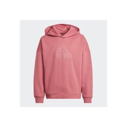 adidas Sportswear Kapuzensweatshirt FUTURE ICONS LOGO HOODIE