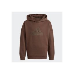 adidas Sportswear Kapuzensweatshirt FUTURE ICONS LOGO HOODIE
