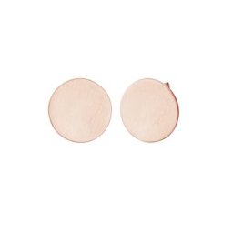 Elli Elli Ohrringe Ohrstecker Geo Kreis Matt Basic Cool 925er Silber Damen