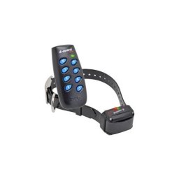 Dogtrace D-Control EASY+, 200 m Premium-Ferntrainer
