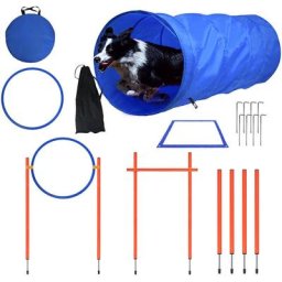 Agility Ausrüstungs Set für Hunde, Training Hindernisse mit Hundetunnel Konische Fässer inkl.