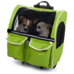 Hunde Katzen Trolley Rucksack Transporttasche Transport Tasche Box Transportbox