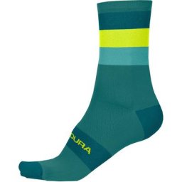 Endura Bandwidth Stripe Socken Herren grün S-M | EU 37-42 2023 Socken