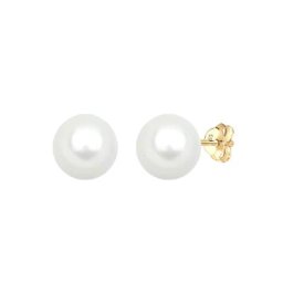 Elli PREMIUM Elli PREMIUM Ohrringe Muschelkernperlen Basic Klassisch 585 Gelbgold Damen
