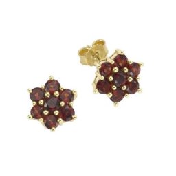 Vivance Paar Ohrstecker 333/- Gelbgold mit Granat