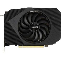 Asus Grafikkarte (8 GB)