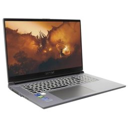 CAPTIVA Advanced Gaming I71-906CH Gaming-Notebook (43,9 cm/17,3 Zoll, Intel Core i5 12500H, GeForce RTX 3060, 500 GB SSD)