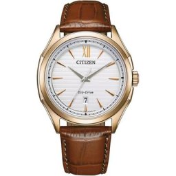 Citizen Solaruhr AW1753-10A