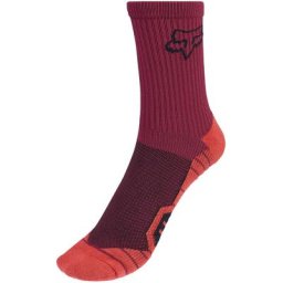 Fox 6"" Ranger Gepolsterte Socken Herren rot S/M | EU 39-42 2023 Socken
