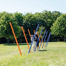 Agility Slalomstangen 12 Stück 115 cm Kunststoff 3206 Trixie Mehrfarbig