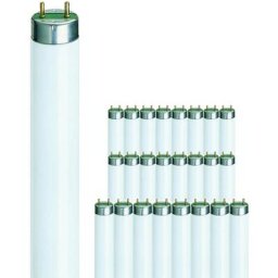 Mehrfachpackung 25x Philips master tl - d Super 80 36W - 865 Tageslichtweiß 120cm - 6500K