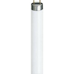 Tl - d master Super 80 36W - 840 Kaltweiß 97cm - 4000K - Kaltweiß - Philips