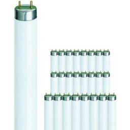 Philips - Mehrfachpackung 25x master tl - d Super 80 14W - 840 Kaltweiß 36cm - 4000K - Kaltweiß