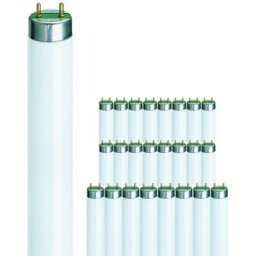 Mehrfachpackung 25x Philips master tl - d Super 80 18W - 840 Kaltweiß 60cm - 4000K - Kaltweiß