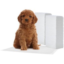 Puppy / Training Pads, mit 5 Schichten von leak-proof Schutz, super saugfähig Haustier Toilette /