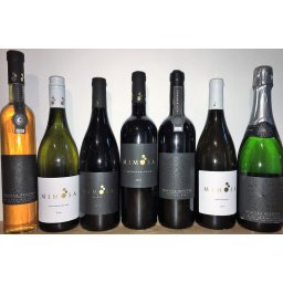 Probierpaket Mimosa