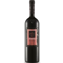 Apollonio Primitivo Terragnolo