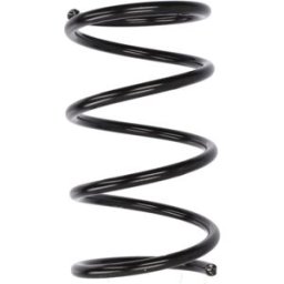 Fahrwerksfeder MAGNUM TECHNOLOGY SZ5056MT