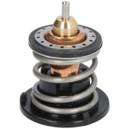 Thermostat, Kühlmittel CALORSTAT BY VERNET TH7265.80