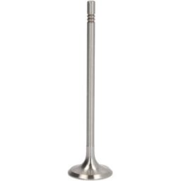 Einlaßventil FRECCIA R6839/S