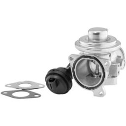 AGR Ventil BORG WARNER 7241D