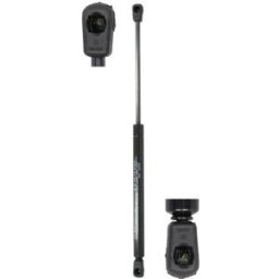 Gasfeder, Koffer-/Laderaum MAGNUM TECHNOLOGY MGS020